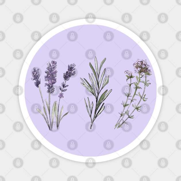 Provencal herbs Magnet by niaarts